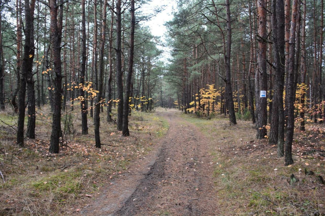 ホテルDom Turysty "Tramp" Bukowno エクステリア 写真